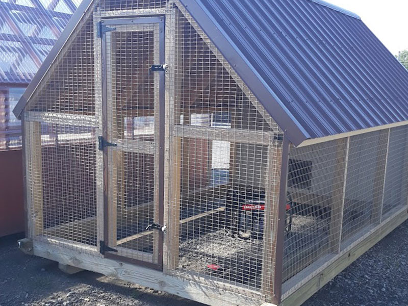 Chicken Coop
